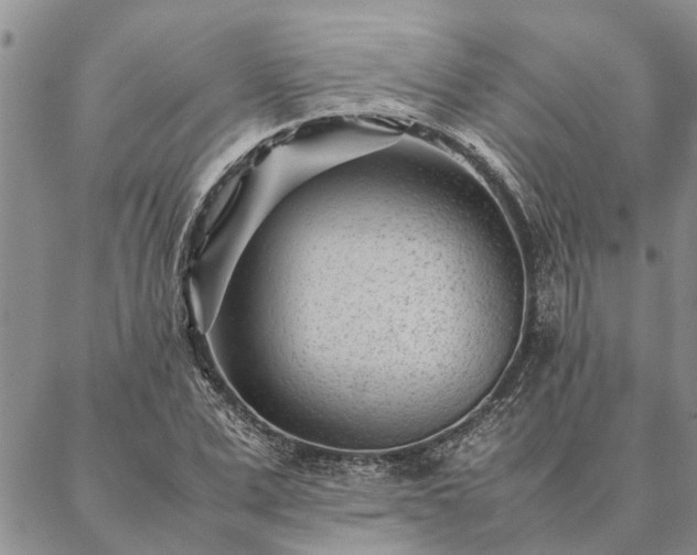 X0000087390975200704271618