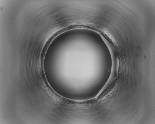 X0000087390976200704271618