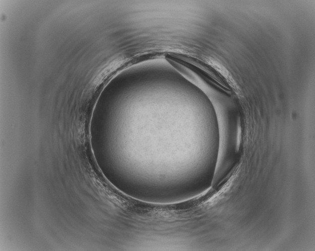 X0000087390977200704271618