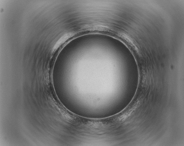 X0000087390978200704271618