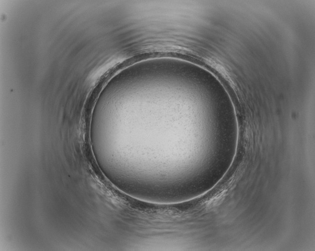 X0000087390979200704271618