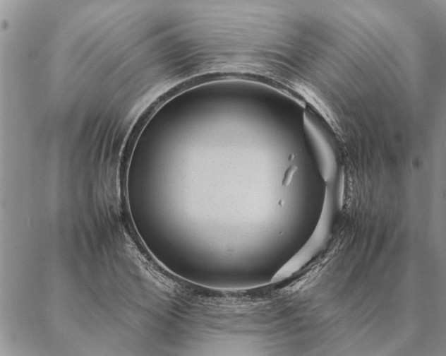 X0000087390980200704271618