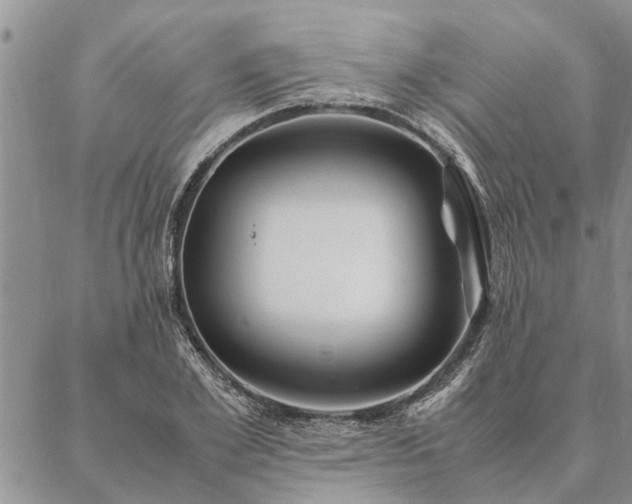 X0000087390981200704271618