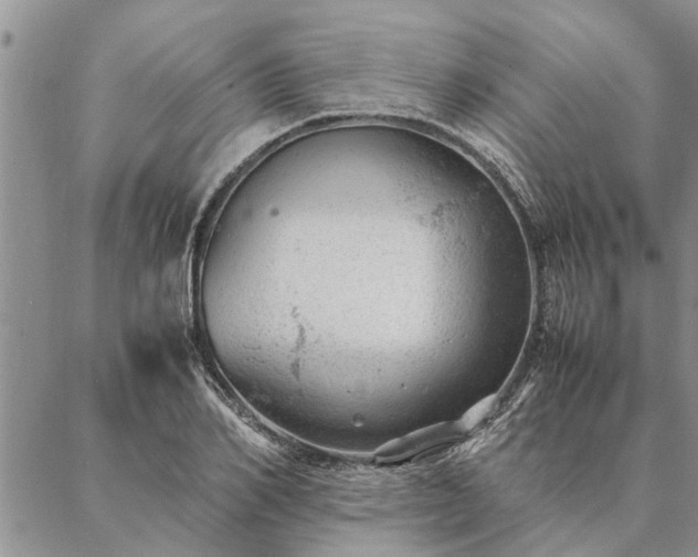 X0000087390982200704271618