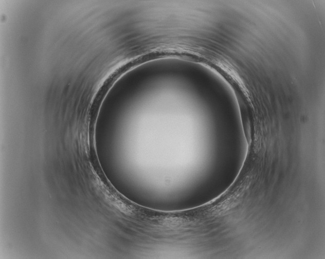 X0000087390984200704271618