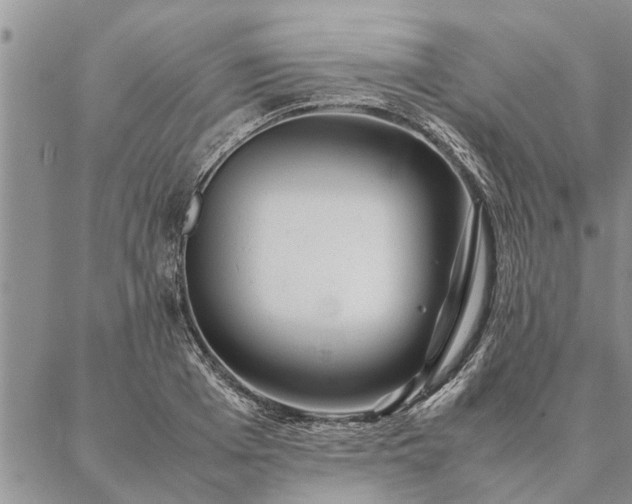 X0000087390985200704271618