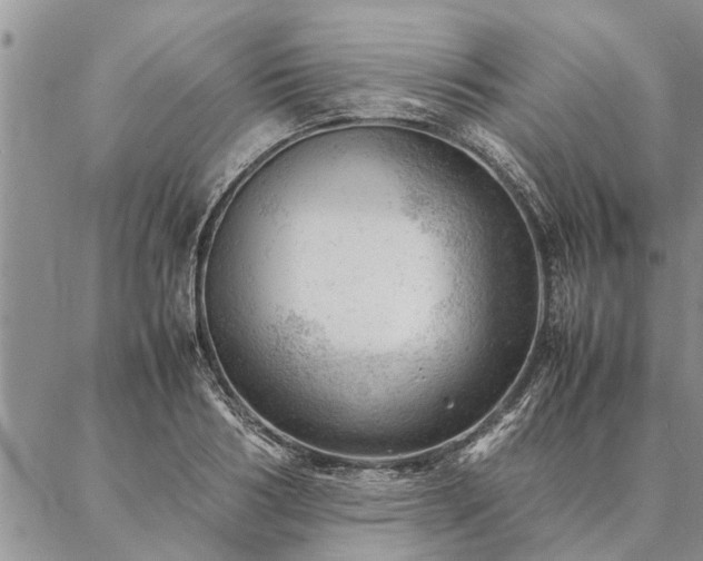 X0000087390986200704271618