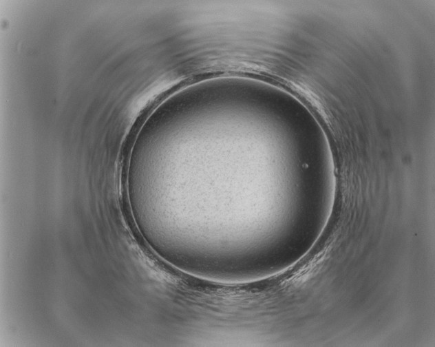 X0000087390987200704271618