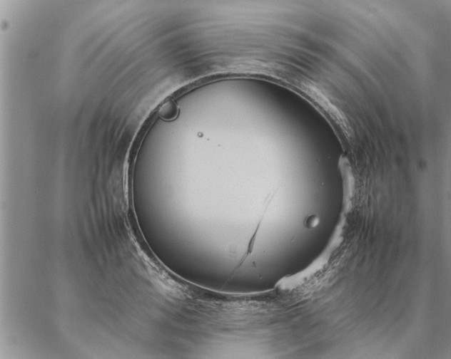 X0000087390988200704271618