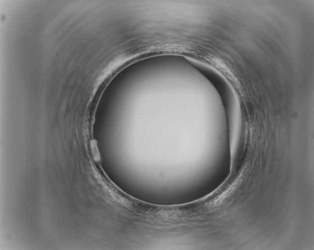 X0000087390989200704271618