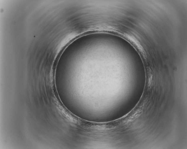 X0000087390990200704271618