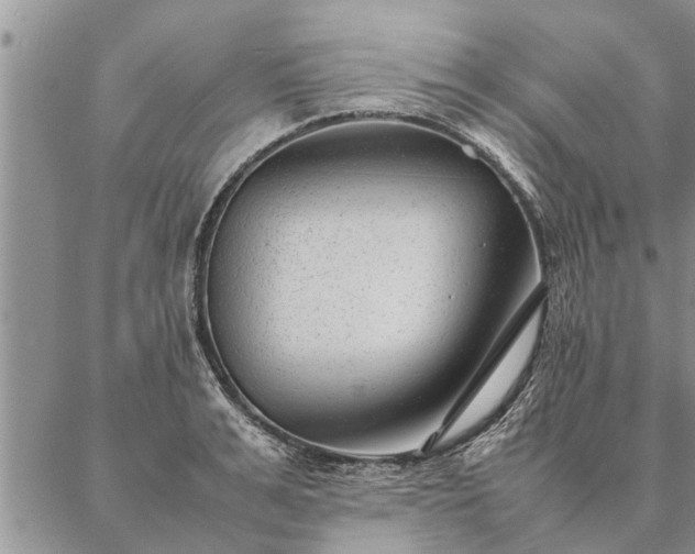 X0000087390991200704271618