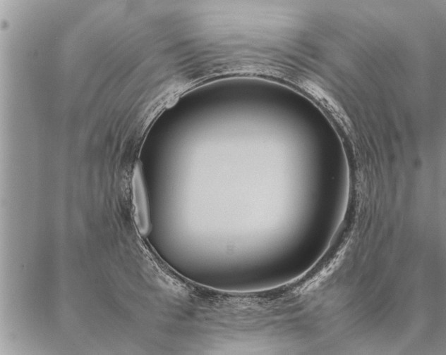 X0000087390993200704271618