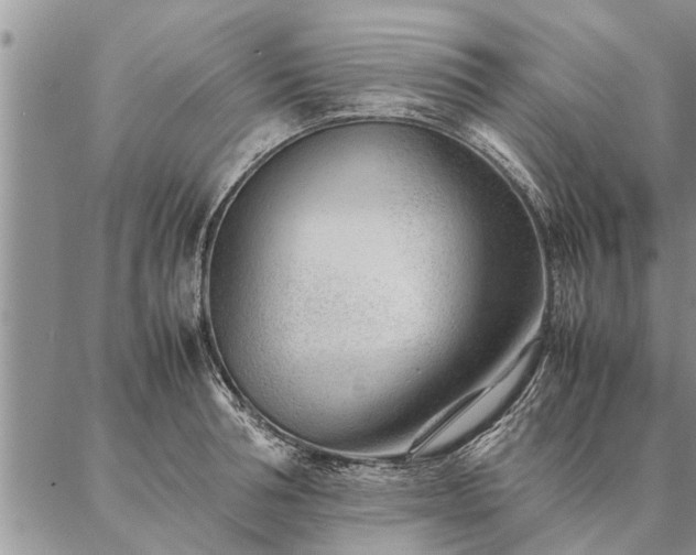 X0000087390994200704271618