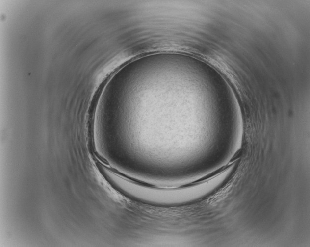 X0000087390995200704271618