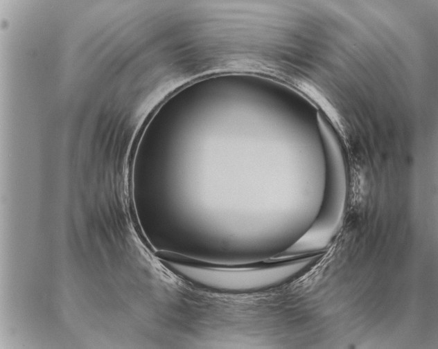 X0000087390996200704271618