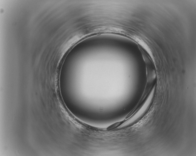 X0000087390997200704271618