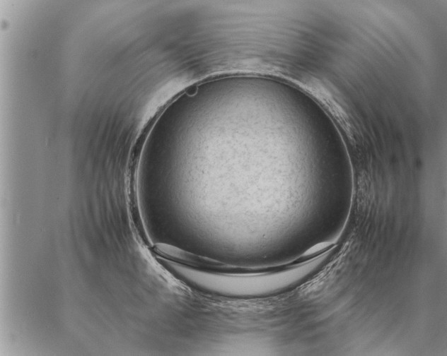 X0000087390998200704271617