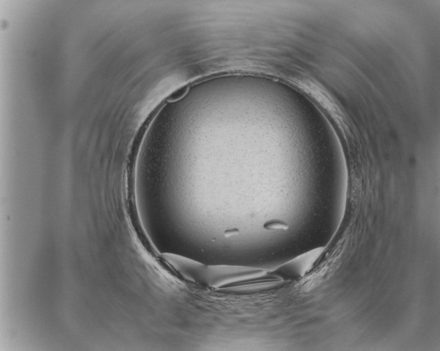 X0000087390999200704271617