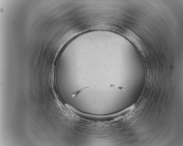 X0000087391000200704271617