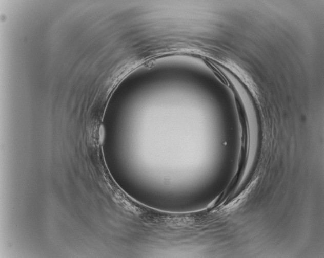 X0000087391001200704271617