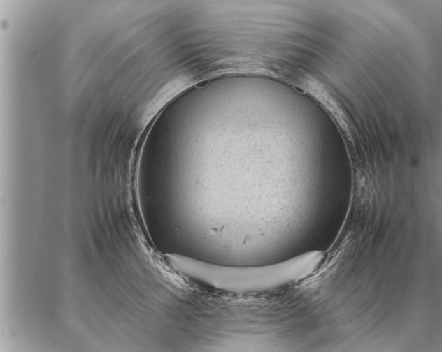 X0000087391002200704271617