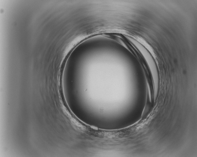 X0000087391005200704271617