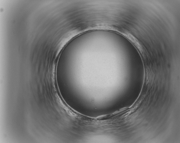 X0000087391006200704271617