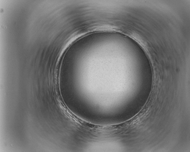 X0000087391008200704271617