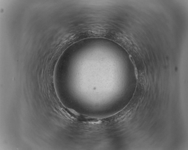 X0000087391009200704271617