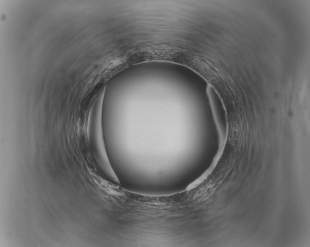 X0000087391010200704271617