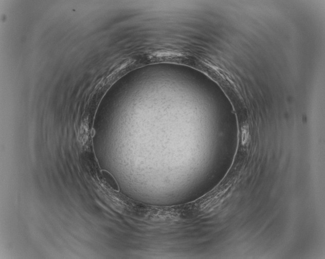 X0000087391011200704271617