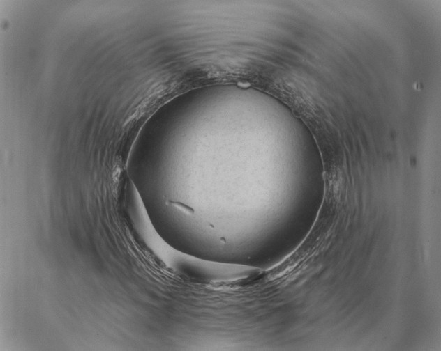 X0000087391012200704271617