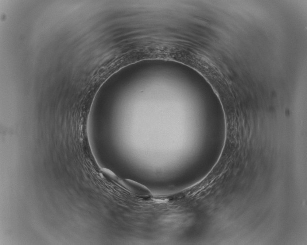 X0000087391013200704271617