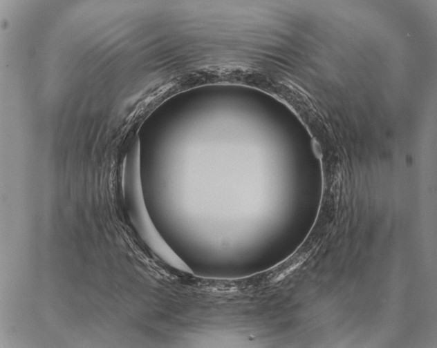 X0000087391014200704271617