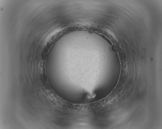 X0000087391016200704271617