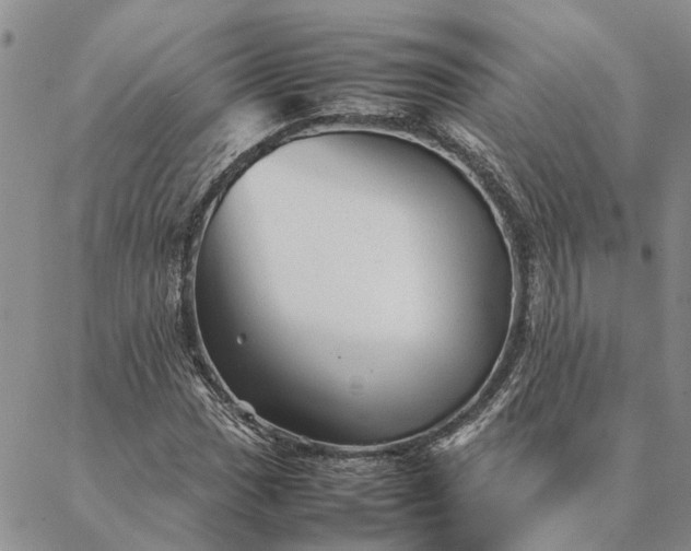 X0000087391017200704271617