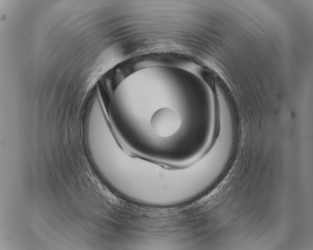 X0000087391018200704271617