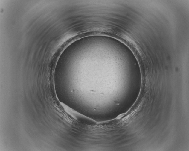 X0000087391019200704271617