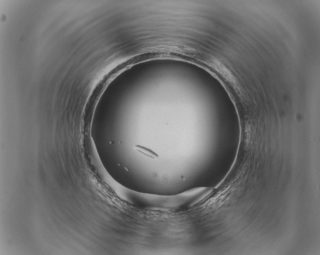 X0000087391020200704271617