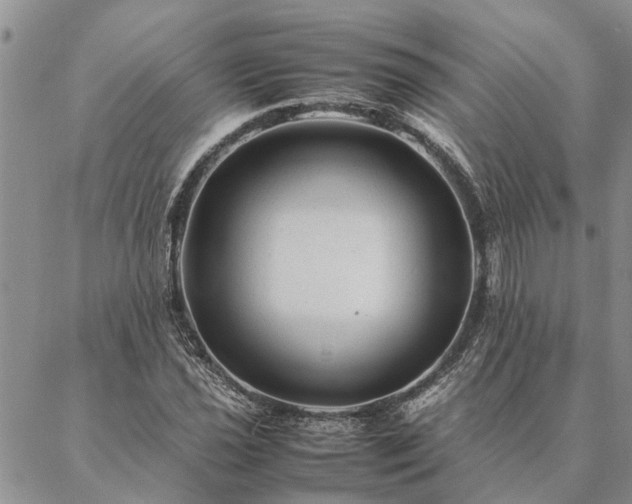 X0000087391021200704271617