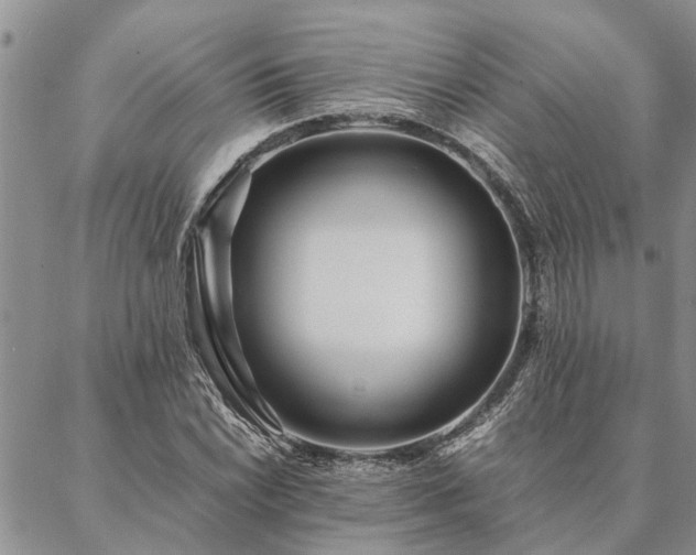 X0000087391022200704271617