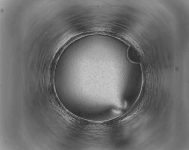 X0000087391023200704271617