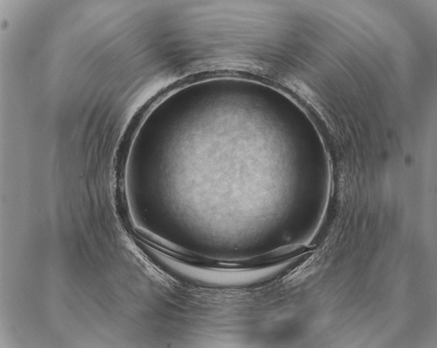 X0000087391024200704271617