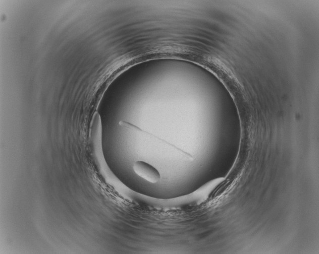 X0000087391025200704271617