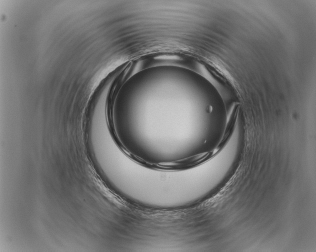 X0000087391026200704271617