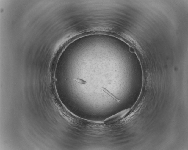 X0000087391027200704271617