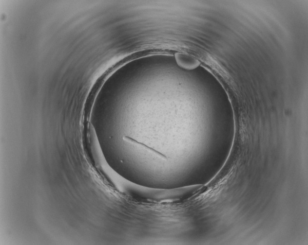 X0000087391028200704271617