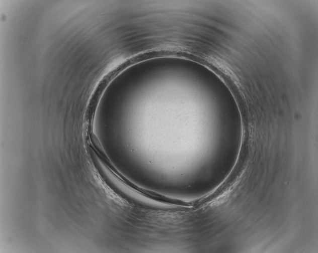 X0000087391029200704271617