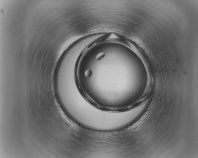 X0000087391030200704271617